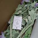 10pcs Artificial Purple Flower Bouquet for Vase, Fake Ranunculus Poppies and Daisies Stems Mixed, Silk Flowers Arrangement for Wedding Farmhouse Office Home Table Office Party Decorations