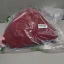 Panadila Womens Half Zip Sherpa Fleece Pullover Soft Oversized Sweatshirt with Pockets Warm Fuzzy Sweater (Large, Red)