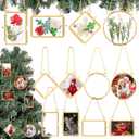 8pcs Mini Double Glass Pressed Flower Frame Kit with 40 Dried Pressed Flowers, 2x3 Inch Glass Wall Hanging Picture Frame with Chain Ornaments for Women Christmas Handicraft Vintage DIY Home Decor