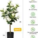 3FT Artificial Camellia Tree 2 Pack, Artificial Plants Outdoor Faux Floral Plant in Cement Pot Fake Silk Camellia Tree Plants for Home House Living Room Office Decor