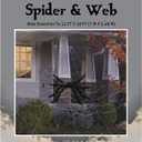 Seasons Giant 30" Posable Spider with Mega Yard Web Outdoor Halloween Decoration, 23 x 18 Feet Web