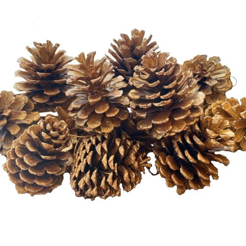 VERIMP Pine Cones, Natural Pinecones for Christmas & Halloween Decor (16PCS, 1.97" - 2.95", Brown, Pine Material)