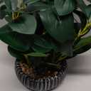 AlphaAcc Artificial Plants Decor Greenery Fake Succulents Indoor Potted Fake Plant with Rustic Black Clay Planter for Farmhouse Room Bathroom Bedroom Kitchen Office Table Desk Decor (12.8" H)