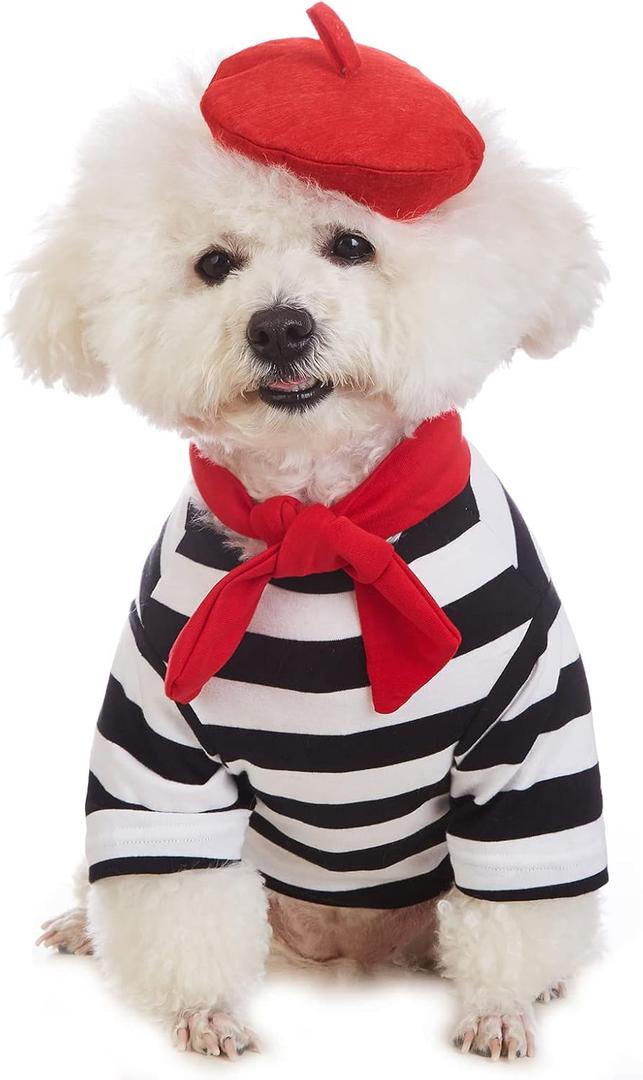 Artist Dog Costume with Funny Hat Painter Pet Clothes for Small Dog Shirts Puppy Summer T-Shirt (2XL) Black