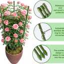 4 Pack Tomato Cage, 24 inches Plant Support Cages for Garden, Upgrade Garden Plant Stakes with Adjustable Rings, Plants Trellis for Tomato, Flower, Climbing Plants, with Twist Tie