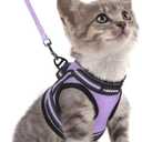 rabbitgoo Cat Harness and Leash Set for Walking Escape Proof, Adjustable Soft Kittens Vest with Reflective Strip for Cats, Comfortable Outdoor Vest, Light Purple, Small