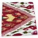 Pottery Barn 20" Ikat Petra Pillow Cover Red Green Southwestern Aztec Pattern