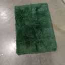 Dark Green Rug for Bedroom Living Room, Fluffy Small Area Rug Soft Shag Carpet for Kids Boys and Girls Room Home Decor 24x36 in