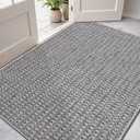 DEXI Dirt Trapper Door Mat, 31x48 Washable Doormat, Dirt Resistant and Absorbent, Easy Clean Low-Profile Floor Rugs for Entryway, Front Door, and Inside Entrance, Checkered Grey