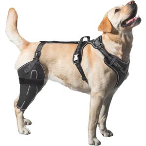 Dog Knee Brace for Torn ACL, Luxating Patella, Arthritis Support, Metal Splint Hinged Leg Brace for CCL Injury, L Size