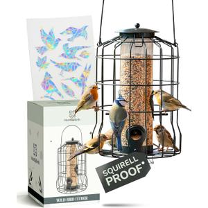 Hearts&Birds Squirrel Proof Bird Feeder Outdoors Hanging with Anti Collision Window Stickers for Birds - 360 Feeding Perch with Large Capacity for Wren Finches Chickadees Cardinal Wild Birds