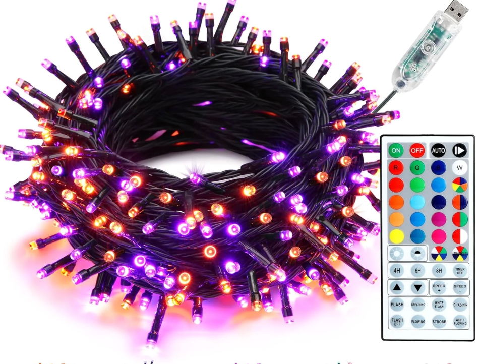 33FT Remote Controlled LED String Lights