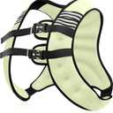 Weighted Vest Men or Women - 5/10/15/20/25/30lbs Weights with Reflective Stripe, Weighted Vest for Workout Equipment for Strength Training Running - Walking Weight Loss (Pale Green)