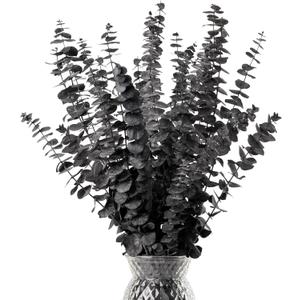 Black Eucalyptus Stems Decor,20PCS 17" Real Dried Preserved Eucalyptus Stems Plant for Home Vase Wedding Festival Floral Fall Halloween Arrangement Decorations