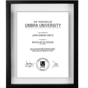 Umbra 316280-040 Floating Frame for Displaying Documents, Diploma, Certificate, Photo or Artwork, 11 x 14 8-1/2 x 11, Black