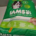 IAMS Proactive Health Adult Minichunks Premium Dry Dog Food, Adult Dog Food Dry Recipe, 30 lb. Bag (EXP 12/17/25)