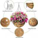 4 Pack 10 Inch Hanging Planters Metal Wire Flower Baskets with Natural Coconut Liners for Outdoor Plants Round Plant Holder Planter for Garden Decor