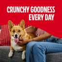 Milk-Bone Mini's Flavor Snacks Dog Treats, 15 Ounce (Pack of 6) Crunchy Texture Helps Reduce Tartar (EXP 07/02/27)