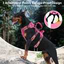 Escape Proof Dog Harness for Large Medium Sized Dogs Six Point Adjustable, Service Dog Vest Harness and Leash Set, No Pull Dogs Harnesses with Handle, Medium Dog Harnesses for Walking(Pink, S)