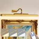 24 Inch Picture Light for Wall - Battery Operated Wireless Wall Sconce with Remote & Timer for Artwork, Portrait, Photo & Frame (Antique Gold)