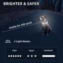 Super Bright LED Dog Collar - Fully Waterproof & Adjustable Glow Collar - USB-C Rechargeable for Night Walking, Safety - Flashing Lighted Collar for Dogs(White,L)