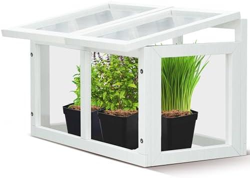 Mini Tabletop Greenhouse 12"x8"  Compact Indoor Plant House with Clear Acrylic Panels & Wood Frame with 4" Pots for Herbs, Seedlings, Cuttings & Propagation - Cat Safe