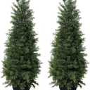 LOMANTO Outdoor Artificial Topiary Cedar Tree 3Ft UV Rated Potted Plants 2Pack Fake Tree for Porch Decor Faux Pine Plant for Housewarming