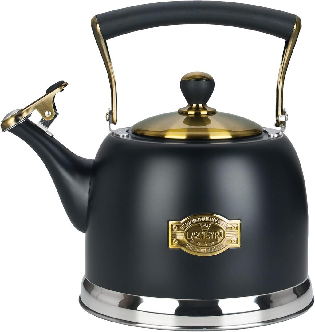 Tea Kettle Stainless Steel Teapot, Stainless Steel Teakettle for Stove Top with Heat Proof Ergonomic Handle 3.0 Quart (Black)