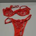 Sexy Underwire Cute Push Up Strappy Embroidered Mesh Sheer Lingerie Set See Through Panty Bra (Medium)