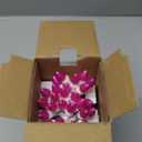 Christmas Pink Mini String Lights-50 Count 13 Feet Detachable LED Glass C3 Bulb Waterproof Fairy Lights Plug in for Indoor Outdoor Party Patio Xmas Tree Valentines Day White Wire