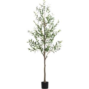 Olive Tree Artificial Indoor, 6 FT Faux Olive Trees with Planter, Fake Tall Plants with Natural Trunk and Lifelike Fruits for Home Office Decor(1