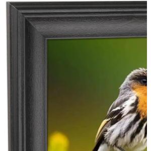 8x32 Picture Frame Solid Wood Black 8x32 Posters Frame 8x32 Inch Panoramic Frame 8x32 Inch Photo Frame, including Hanging Hardware (Y23B832)