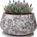 Xiaan Jiaju Vintage Ceramic Planter with Decorative Tray, Plant Lover Gift, 10 inches