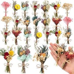 20 Pcs Dried Flowers for Crafts, Mini Dried Flowers Bouquet Bulk for Vase DIY Small Photo Bridesmaid Gift Birthday Decor