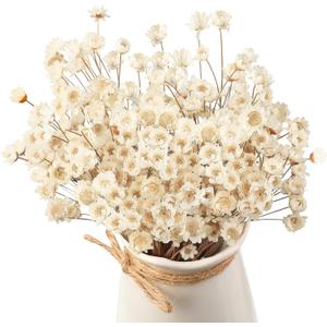 WILLBOND 200 Pcs Natural Dry Flowers White Mini Dried Star Daisy Floral Decorative Chamomile Bouquet for Wedding Floral Arrangements Home Vase Decorations
