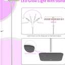 KINGPLUS Grow Lights with Stand, Double Head, Full Spectrum LED Grow Light for Indoor Plants, 240 Leds, 4 Dimmable Levels, Timer 4/8/12h, 12-60inches Height Adjustable, 36w, Ideal for Desk Small Plant