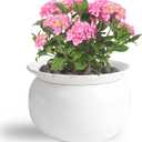 BUYMAX African Violet Pots, 6 inch Ceramic Easy Self Watering Plant Pot for Busy Plant Lovers, Automatically Absorb Appropriate Amount of Water, Flower Pot Indoor-Plants Not Included