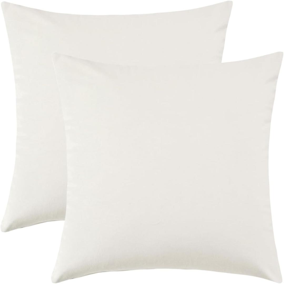 Set of 2 Comfortable Throw Pillow Cover for Bedding, Decorative Accent Cushion Sham Case for Couch Sofa, Soft Solid Velvet with Zipper Hidden - 20"x20", Ivory