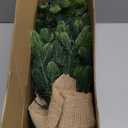 Lulu Home 2 Packs Pre-lit Artificial Mini Christmas Tree, 24 Inch Tabletop Battery Operated Norfolk Pine Tree with 50 LED Light and Burlap Wrap Base for Xmas Spring Decor