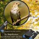 Anweller Binoculars with Camera, 12x32 High Powered Compact Binoculars for Adults and Kids, for Bird Watching, Cruise Ship, Hunting, Travel, Hiking, Sport Games, Concert, with 8GB Card