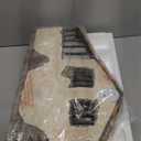 Three Kings Gifts Lighted Stable, Creche, Flat Bottom for Stability, Home Decorating Nativity Scene Set & Figures Shelter with White Dove, for 10 inch Scale Collection