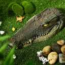 12.6 Inches Floating Alligator Head Pool Accessories Float Alligator Fake Crocodile Decoy Crocodile Floating Head for Goose, Heron, Duck Control, Pool, Garden and Patio Accessories