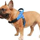 iChoue French Bulldog Harness Adjustable Padded Locked Buckle with Handle for Frenchie Pug English Boston Terrier Dogs, Blue, Medium (Medium ( 25 - 45 lbs ))