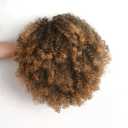 Afro Puff kinky curly Drawstring Ponytail Extension for Women Afro Drawstring Ponytail Kinky Curly Afro Puffs Synthetic Curly Ponytail Hairpieces Updo Hair Extensions with Two Clips (16 Inch, T1B/27#)