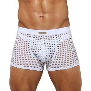 Arjen Kroos Men's Sexy Trunks Sheer Mesh Underwear Novelty Low Rise Lingerie (White, L)