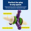 PetSafe Busy Buddy Jack - Keeps Dog Busy - Includes Treats Refill - Treat Holding Dog Toy - Helps Clean Teeth - Durable Rubber - Strong Chewers - Dishwasher Safe - Large - Purple