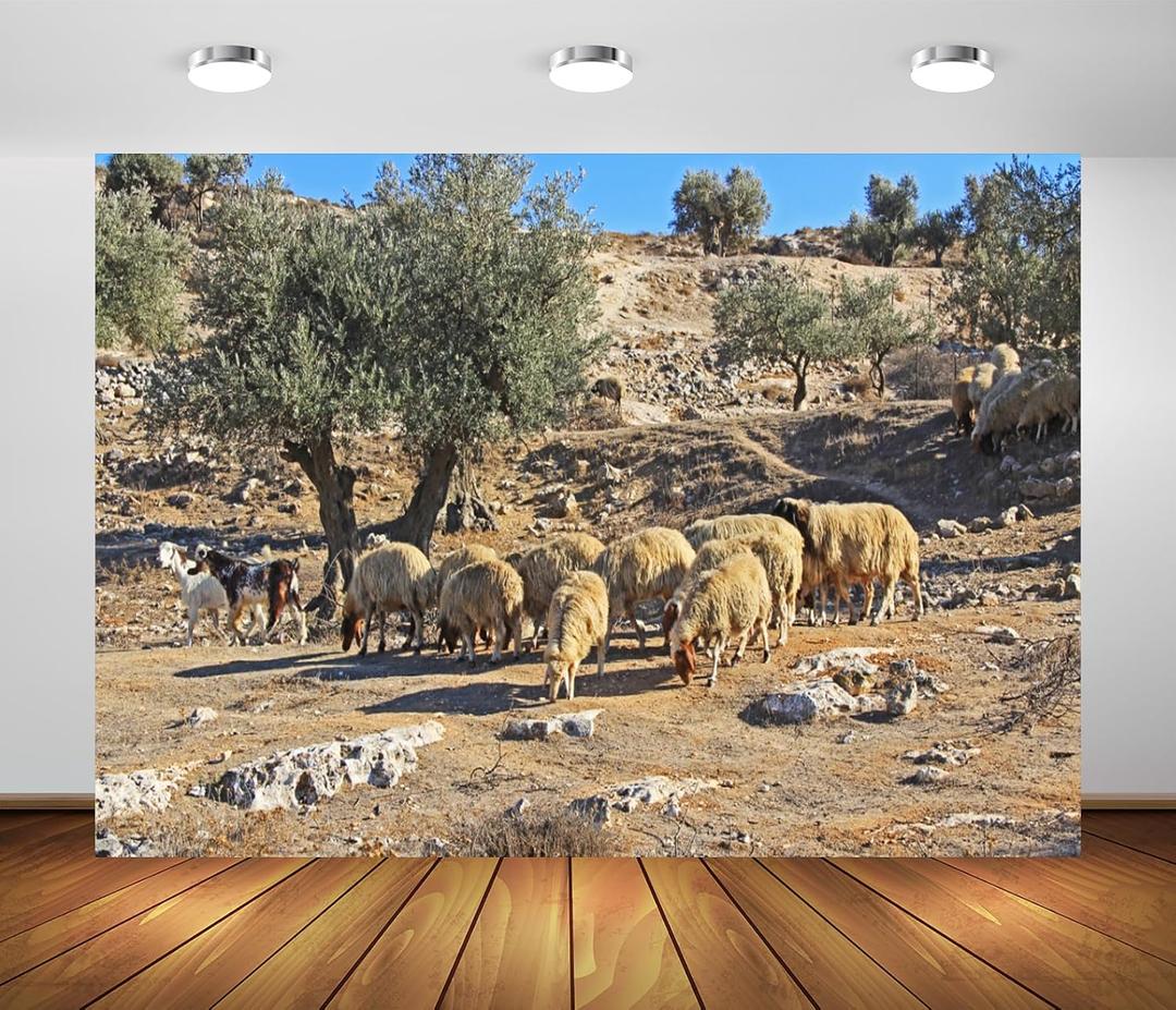 BELECO 7x5ft Fabric Old City Jerusalem Backdrop Sheep Grazing on Mount of Olives, Jerusalem Background Israel Theme Party Decorations Religious Belief Church Decor Photo Booth Studio Props