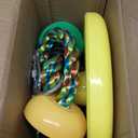 Jungle Gym Kingdom Tree Swing for Kids - Single Disc Seat and Rainbow Climbing Rope Set w/Carabiner and 2.6 Foot Strap - Treehouse and Outdoor Playground Accessories - Yellow