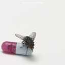 I'm with You Limited edition. by Red Hot Chili Peppers, CD