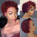 Burgundy Short Curly Pixie Cut Lace Front Wigs 6 Inch Human Hair 13X1 HD Lace Front Wigs Pre Plucked with Baby Hair for Black Women (6 Inch, Burgundy)
